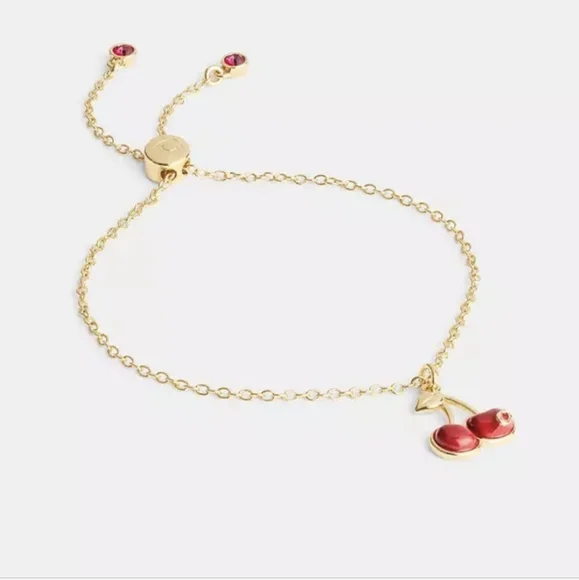 Bag Game - Picture 11 of 11